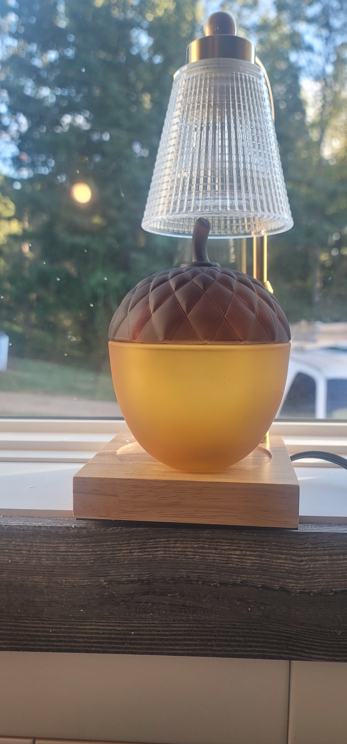 11oz. Wickless Soy Candle