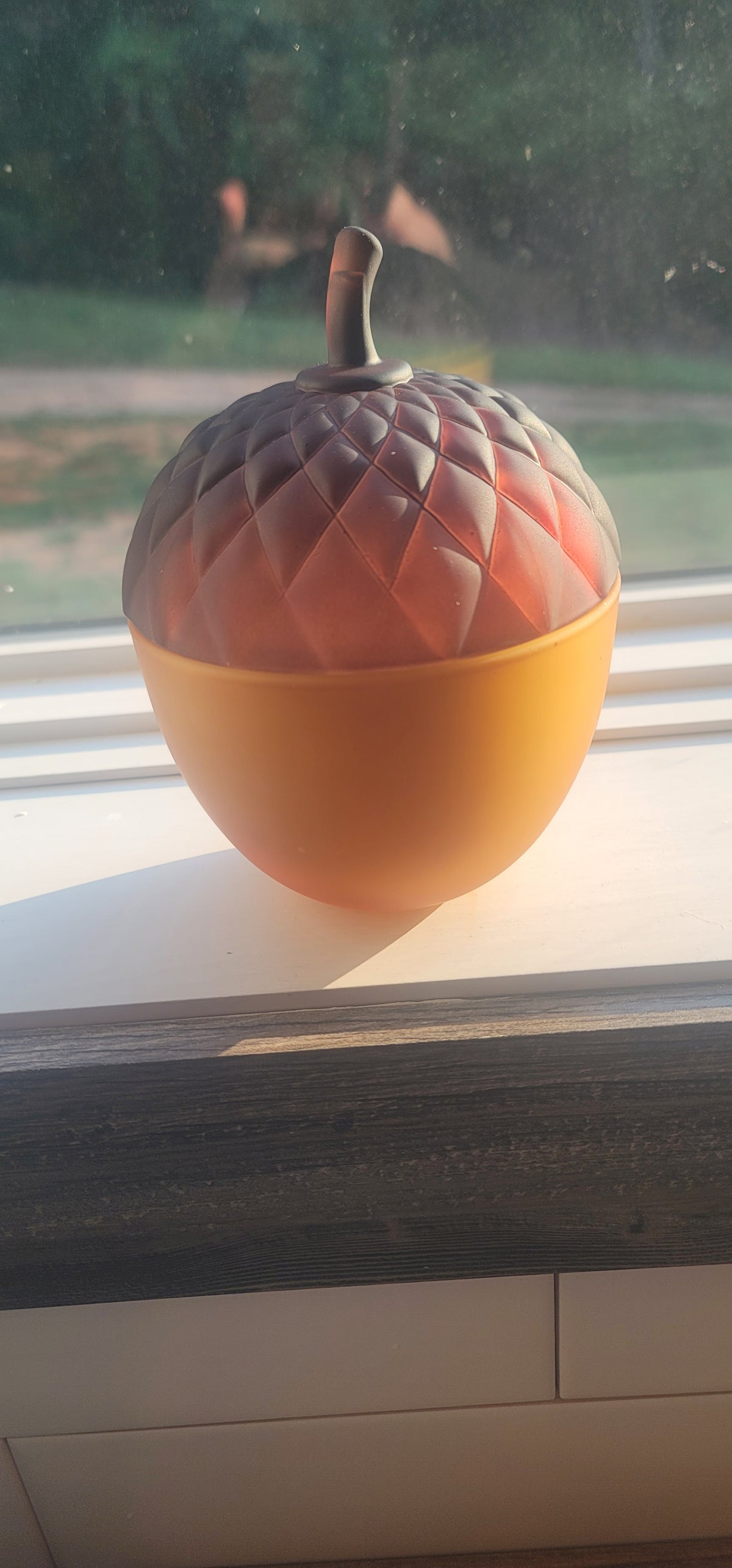 11oz. Wickless Soy Candle
